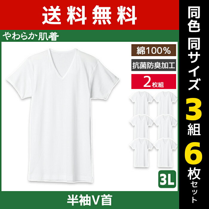 同色3組セット 計6枚 やわらか肌着 半袖V首シャツ 2枚組 3Lサイズ Vネック Tシャツ グンゼ GUNZE送料無料同色3組セット 計6枚 やわらか肌着 半袖V首シャツ 2枚組 3Lサイズ Vネック Tシャツ グンゼ GUNZE 通販 まとめ買い セット同色同サイズのセット販売となります。 【注・お届けについて】送料無料対象地域は【沖縄県以外】となります。沖縄県は追加送料が発生いたします。ご了承くださいませ。【商品情報】●商品管理番号：SV61152-3L-SET●商品説明厳選されたしなやかな綿を使用したやわらかな着心地。洗濯に強い丈夫な縫製で仕上げた耐久性、抗菌防臭加工の清潔性。すべての快適性を備えた心も和む、本体綿100%のメンズインナーです。●商品特性：半袖V首・抗菌防臭加工・フライス●素材：綿100%●サイズ：【3L】●メーカー：GUNZE（グンゼ）※実際の商品と画面上の色は異なる場合がありますので、ご了承ください。※サイズ表はこちら●男性下着・紳士肌着・メンズインナーメーカー希望小売価格はメーカーカタログに基づいて掲載しています●ラッピング無料（詳しくはこちら）　誕生日プレゼント・バースデープレゼント・クリスマスプレゼント　バレンタインデー・ホワイトデー・各種記念日・各種お祝い・父の日　母の日・敬老の日・彼氏や彼女への贈り物・ギフトや贈答品など　簡易的な包装紙のみになりますが対応致します。【はこぽす対応商品】【コンビニ受取対応商品】【楽天BOX受取対象商品】　「カッコよくて気持ちいい」がコンセプト♪ 　「着心地を感じる」インナーです♪ 　3つの「気持ちいい」が着心地のヒミツ♪ 　アウトドアなデザインのオシャレインナー♪