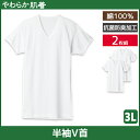 やわらか肌着 半袖V首シャツ 2枚組 3Lサイズ Vネック Tシャツ グンゼ GUNZEやわらか肌着 半袖V首シャツ 2枚組 3Lサイズ Vネック Tシャツ グンゼ GUNZE【商品情報】●商品管理番号：SV61152-3L●商品説明厳選されたしなやかな綿を使用したやわらかな着心地。洗濯に強い丈夫な縫製で仕上げた耐久性、抗菌防臭加工の清潔性。すべての快適性を備えた心も和む、本体綿100%のメンズインナーです。●商品特性：半袖V首・抗菌防臭加工・フライス●素材：綿100%●サイズ：【3L】●メーカー：GUNZE（グンゼ）※実際の商品と画面上の色は異なる場合がありますので、ご了承ください。※サイズ表はこちら●男性下着・紳士肌着・メンズインナーメーカー希望小売価格はメーカーカタログに基づいて掲載しています●ラッピング無料（詳しくはこちら）　誕生日プレゼント・バースデープレゼント・クリスマスプレゼント　バレンタインデー・ホワイトデー・各種記念日・各種お祝い・父の日　母の日・敬老の日・彼氏や彼女への贈り物・ギフトや贈答品など　簡易的な包装紙のみになりますが対応致します。【はこぽす対応商品】【コンビニ受取対応商品】【楽天BOX受取対象商品】　「カッコよくて気持ちいい」がコンセプト♪ 　「着心地を感じる」インナーです♪ 　3つの「気持ちいい」が着心地のヒミツ♪ 　アウトドアなデザインのオシャレインナー♪