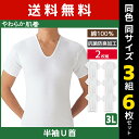【5日限定エントリーで最大100%ポイントバック】送料無料 同色3組セット 計6枚 やわらか肌着 半袖U首シャツ 2枚組 3Lサイズ Uネック Tシャツ グンゼ...