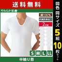 送料無料 同色5組セット 計10枚 やわらか肌着 半袖U首シャツ 2枚組 Uネック Tシャツ グンゼ GUNZE | メンズ 男性 紳士 インナーシャツ uネック 半袖 半袖tシャツ 半袖インナー 紳士肌着 メンズインナーシャツ アンダーシャツ 大きいサイズ 小さいサイズ u首 シャツ 下着 肌着