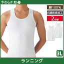 やわらか肌着 ランニングシャツ 2枚組 3Lサイズ タンクトップ グンゼ GUNZE | メンズ 男性 紳士 インナーシャツ ノースリーブ 袖なし ランニング 紳士肌着 メンズインナーシャツ アンダーシャツ 大きいサイズ 3l シャツ メンズ肌着タンクトップ メンズインナー 男性肌着 肌着(4)