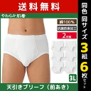【クーポン10%OFF】送料無料 同色3組セット 計6枚 やわらか肌着 天引きブリーフ 前あき 2枚組 3Lサイズ パンツ ブリーフ グンゼ GUNZE | 男...