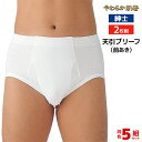 【25日限定エントリーで最大100%ポイントバック】送料無料5組セット 計10枚 やわらか肌着 天引ブリーフ 前あき 2枚組 グンゼ GUNZE パンツ ぱんつ | メンズ 下着 メンズ下着 男性下着 男性用下着 メンズ肌着 紳士肌着 ブリーフ メンズパンツ下着 男性パンツ 白 前開き 紳士