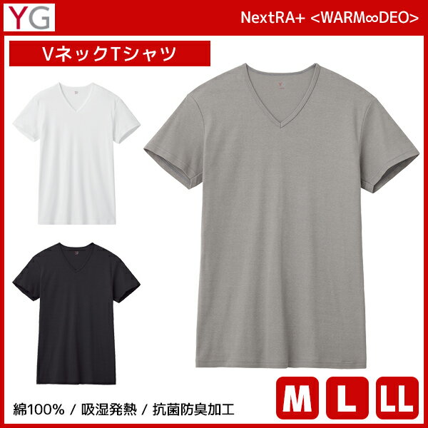 YG ワイジー WARMDRY VネックTシャツ 綿100% インナー グンゼ GUNZE | メンズ 男性 tシャツ vネック v首 半袖 半袖tシャツ 白T 肌着 白..