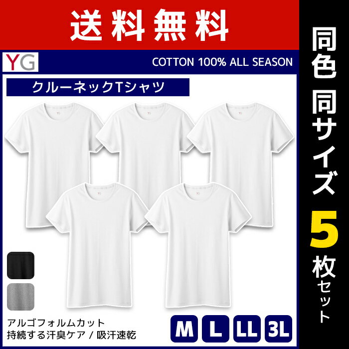 送料無料 同色5枚セット YG ワイジー COTTON100% クルーネックTシャツ 半袖丸首 グンゼ GUNZE | メンズ 男性 紳士 大きいサイズ 肌着 男性下着 メンズインナー アンダーウェア ティーシャツ インナーウェア インナーシャツ 綿 コットン 白T 白Tシャツ M L LL 3L Tシャツ