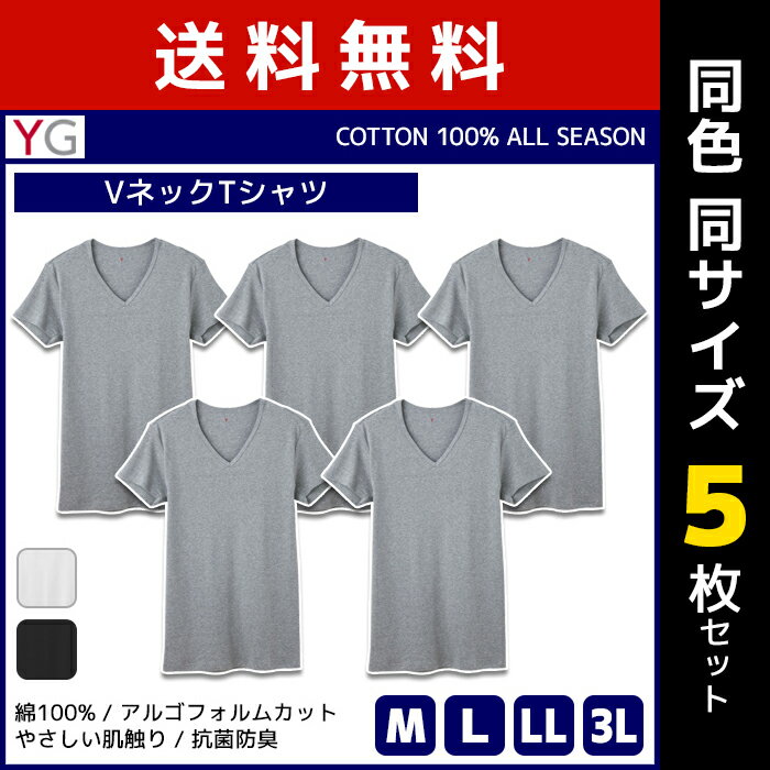   F5Zbg YG CW[ COTTON100% VlbNTVc V O[ GUNZE | Y j am 傫TCY  j YCi[ A [EFA eB[Vc Ci[EFA Ci[Vc  100 Rbg T TVc M L LL 3L TVc