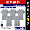 同色5枚セット YG ワイジー COTTON100% VネックTシャツ 半袖V首 グンゼ送料無料同色5枚セット YG ワイジー COTTON100% VネックTシャツ 半袖V首 グンゼ GUNZE 通販 セット まとめ買い同色同サイズのセット販売となります。 【注・お届けについて】送料無料対象地域は【沖縄県以外】となります。沖縄県は追加送料が発生いたします。ご了承くださいませ。【商品情報】●商品管理番号：YV0015V-SET【YG(ワイジー)】とはカラダをやさしく包み込み、絶妙なフィット感を実現したインナーです。【絶妙の包み込むフィット感】体に寄り添ったスマートなラインを作り出す設計により、包み込むようにフィットする最高の着心地を実感できます。【触れると分かるやわらかさ】厳選された綿糸とやわらかな風合いが長持ちする独自技術により、理想の着心地を実現しています。●商品説明“Young mind, Gentle style”の略で、さりげなくここちよく内側から装う「YG」のインナーです。【コンパクトスピン】特殊紡績手法で、やわらかい風合いを実現。毛羽も少なく生地に光沢感を与えます。【COTTON USA】世界的にも評価の高い上質なアメリカ綿を使用しています。【持続するやわらかさ】洗濯を重ねてもソフトな風合いが長持ちします。【アルゴフォルムカット】体のラインに合わせ着圧を均一にすることで、絶妙なフィット感を実現しました。【抗菌防臭】繊維上の細菌の増殖を抑え、ニオイの発生を抑制します。●商品特性：フライス・耐久柔軟・抗菌防臭加工●素材：綿100％●サイズ：【M】【L】【LL】【3L】※グレーモクに【3L】はございません●メーカー：GUNZE（グンゼ）※実際の商品と画面上の色は異なる場合がありますので、ご了承ください。※サイズ表はこちら●男性下着・紳士肌着・メンズインナーメーカー希望小売価格はメーカーカタログに基づいて掲載しています●ラッピング無料（詳しくはこちら）　誕生日プレゼント・バースデープレゼント・クリスマスプレゼント　バレンタインデー・ホワイトデー・各種記念日・各種お祝い・父の日　母の日・敬老の日・彼氏や彼女への贈り物・ギフトや贈答品など　簡易的な包装紙のみになりますが対応致します。【はこぽす対応商品】【コンビニ受取対応商品】【楽天BOX受取対象商品】　「カッコよくて気持ちいい」がコンセプト♪ 　「着心地を感じる」インナーです♪ 　3つの「気持ちいい」が着心地のヒミツ♪ 　アウトドアなデザインのオシャレインナー♪