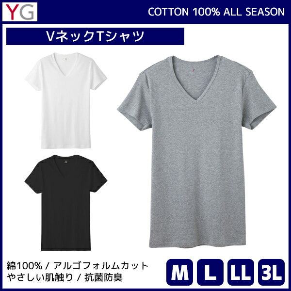 YG ワイジー COTTON100% VネックTシャツ 