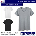 【クーポン10%OFF】YG ワイジー COTTON100% VネックTシャツ 半袖V首 グンゼ GUNZE | メンズ 男性 紳士 大きいサイズ 肌着 男性下...