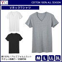 YG ワイジー COTTON100% VネックTシャツ 半袖V首 グンゼYG ワイジー COTTON100% VネックTシャツ 半袖V首 グンゼ GUNZE 通販【商品情報】●商品管理番号：YV0015V【YG(ワイジー)】とはカラダをやさしく包み込み、絶妙なフィット感を実現したインナーです。【絶妙の包み込むフィット感】体に寄り添ったスマートなラインを作り出す設計により、包み込むようにフィットする最高の着心地を実感できます。【触れると分かるやわらかさ】厳選された綿糸とやわらかな風合いが長持ちする独自技術により、理想の着心地を実現しています。●商品説明“Young mind, Gentle style”の略で、さりげなくここちよく内側から装う「YG」のインナーです。【コンパクトスピン】特殊紡績手法で、やわらかい風合いを実現。毛羽も少なく生地に光沢感を与えます。【COTTON USA】世界的にも評価の高い上質なアメリカ綿を使用しています。【持続するやわらかさ】洗濯を重ねてもソフトな風合いが長持ちします。【アルゴフォルムカット】体のラインに合わせ着圧を均一にすることで、絶妙なフィット感を実現しました。【抗菌防臭】繊維上の細菌の増殖を抑え、ニオイの発生を抑制します。●商品特性：フライス・耐久柔軟・抗菌防臭加工●素材：綿100％●サイズ：【M】【L】【LL】【3L】※グレーモクに【3L】はございません●メーカー：GUNZE（グンゼ）※実際の商品と画面上の色は異なる場合がありますので、ご了承ください。※サイズ表はこちら●男性下着・紳士肌着・メンズインナーメーカー希望小売価格はメーカーカタログに基づいて掲載しています●ラッピング無料（詳しくはこちら）　誕生日プレゼント・バースデープレゼント・クリスマスプレゼント　バレンタインデー・ホワイトデー・各種記念日・各種お祝い・父の日　母の日・敬老の日・彼氏や彼女への贈り物・ギフトや贈答品など　簡易的な包装紙のみになりますが対応致します。【はこぽす対応商品】【コンビニ受取対応商品】【楽天BOX受取対象商品】　「カッコよくて気持ちいい」がコンセプト♪ 　「着心地を感じる」インナーです♪ 　3つの「気持ちいい」が着心地のヒミツ♪ 　アウトドアなデザインのオシャレインナー♪