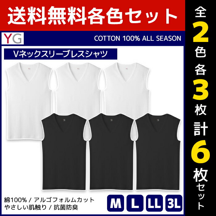 2色3枚ずつ 送料無料6枚セット YG ワイジー COTTON100% Vネックスリーブレスシャツ ノースリーブ グンゼ GUNZE| メンズ 男性 紳士 肌着 下着 メンズインナー アンダーウェア インナー インナーシャツ メンズ肌着 綿100 コットン M L LL 3L スリーブレス 袖なし Vネック 綿