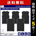 送料無料 同色5枚セット YG ワイジー COTTON100 Vネックスリーブレスシャツ ノースリーブ グンゼ GUNZE メンズ 男性 紳士 肌着 下着 メンズインナー アンダーウェア インナー インナーシャツ メンズ肌着 綿100 コットン M L LL 3L スリーブレス 袖なし Vネック V首 綿