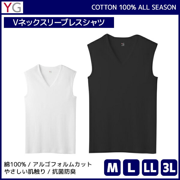 YG ワイジー COTTON100% Vネックスリーブレスシャツ ノースリーブ グンゼ GUNZE | メンズ 男性 紳士 大きいサイズ 肌着 下着 メンズインナー アンダーウェア インナーウェア アンダーウエア インナーシャツ メンズ肌着 綿100 コットン M L LL 3L スリーブレス 袖なし Vネック