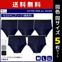 送料無料 同色5枚セット YG ワイジー COTTON100% セミビキニブリーフ 前あき グンゼ GUNZE | メンズ 男性 下着 パンツ メンズブリーフ メンズビキニブリーフ ブリーフ 男性用 ビキニパンツ ビキニ メンズビキニ 男性下着 メンズ下着 前開き メンズショーツ メンズ下着パンツ