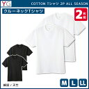 【11日までエントリーで最大100%ポイントバック】YG ワイジー クルーネックTシャツ 半袖丸首 2枚組 グンゼ GUNZE | メンズ 男性 肌着 男性肌着 インナー インナーシャツ クルーネック クルーネックインナー 半袖 半袖tシャツ 半袖インナー 綿100 メンズインナーシャツ アン(4)