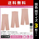 【クーポン10%OFF】送料無料 同色3枚セット KIREILABO キレイラボ Fitte フィッテ 完全無縫製 5分丈 ボトム 日本製 グンゼ GUNZE ...