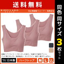 【クーポン10%OFF】送料無料 同色3枚セット KIREILABO キレイラボ 完全無縫製 ウォーマー 発熱起毛 ハーフトップ ブラ グンゼ GUNZE 日本...