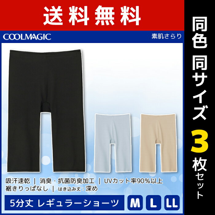 送料無料3枚セット COOLMAGIC クールマジック 素肌さらり 5分丈 レギュラーショーツ パンツ グンゼ GUNZE | ショーツ ボクサーパンツ スパッツ パンティ パンティー ぱんつ ひびきにくい 響かない 下着 レディース 女性 婦人 夏 レディースショーツ レディース下着パンツのサムネイル