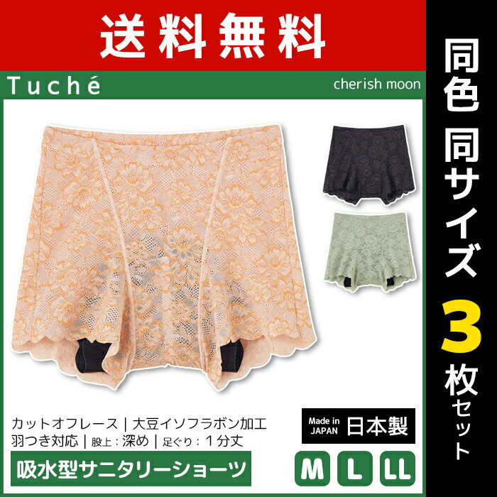 送料無料 同色3枚セット Tuche トゥシェ cherish moon 吸水型サニタリーショーツ レギュラーショーツ グンゼ GUNZE | レディース 生理用ショーツ 生理用パンティー 生理用パンツ 生理 ショーツ 生理パンツ サニタリー ボクサー 女性 パンツ 下着 インナー レース 婦人 可愛い