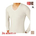 2色2枚ずつ 送料無料4枚セット 暖か暖か 長袖U首シャツ 3L 大きいサイズ 日本製 メンズ グンゼ GUNZE | あったかインナー uネック 暖かい 温か...