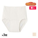 【クーポン10%OFF】送料無料 同色3枚セット 愛情らくらく らくらく肌着 ショーツ 50cc 綿100% 婦人 女性 グンゼ GUNZE | シニア 介護 ...