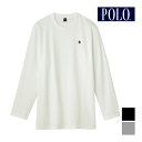 【クーポン10%OFF】POLO ポロ ロングスリーブシャツ 長袖丸首 綿100% グンゼ GUNZE | トップス 長袖 ロンt カットソー トレーナー イン...