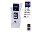 POLO ポロ キッズソックス 男女兼用 レギュラー丈 靴下 子供用 グンゼ GUNZE | スクールソックス ソックス キッズ スクール 女の子 男の子 小学...