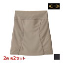 【10日限定エントリーで最大100%ポイントバック】2色2枚ずつ 送料無料4枚セット RIZAP ライザップ パワーネットタイプ ウエストシェイパー グンゼ G...