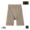 【11/25限定★最大300%ポイントバック!要エントリー】送料無料 同色3枚セット RIZAP ライザップ パワーネットタイプ ヒップシェイパー グンゼ GU...