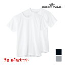 【クーポン10%OFF】3色1組ずつ 送料無料3組セット 計6枚 BODYWILD ボディワイルド クルーネックTシャツ 半袖丸首 2枚組 グンゼ GUNZE ...
