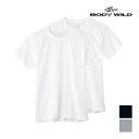 【クーポン10%OFF】BODYWILD ボディワイルド クルーネックTシャツ 半袖丸首 2枚組 グンゼ GUNZE | メンズ 男性 紳士 肌着 下着 メンズ...