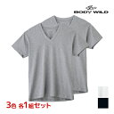 【クーポン10%OFF】3色1組ずつ 送料無料3組セット 計6枚 BODYWILD ボディワイルド VネックTシャツ 半袖V首 2枚組 グンゼ GUNZE | ...