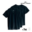 【20日限定エントリーで最大100%ポイントバック】送料無料 同色3組セット 計9枚 BODYWILD ボディワイルド VネックTシャツ 半袖V首 3枚組 グンゼ GUNZE | メンズ 男性 紳士 肌着 下着 メンズシャツ シャツ Tシャツ 半袖 v首 vネック ボディーワイルド ブランド インナー ティ