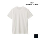 【クーポン10%OFF】BODYWILD ボディワイルド 汗染み対応 クルーネックTシャツ 半袖丸首 グンゼ GUNZE | メンズ 男性 メンズシャツ シャツ...