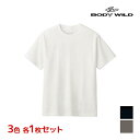 3色1枚ずつ 送料無料3枚セット BODYWILD ボディワイルド ジェンダーニュートラル ジャケット対応 クルーネックTシャツ 半袖丸首 グンゼ GUNZE ...