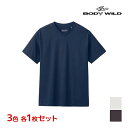 3色1枚ずつ 3枚セット BODYWILD ボディワイルド ジェンダーニュートラル ジャケット対応 VネックTシャツ 半袖V首 グンゼ GUNZE3色1枚ずつ 送料無料3枚セット BODYWILD ボディワイルド ジェンダーニュートラル ジャケット対応 VネックTシャツ 半袖V首 グンゼ GUNZE 通販 まとめ買い3色を各1枚ずつの同サイズのセット販売となります。 【注・お届けについて】送料無料対象地域は【沖縄県以外】となります。沖縄県は追加送料が発生いたします。ご了承くださいませ。【商品情報】●商品管理番号：BW5904-SET2【BODYWILD(ボディワイルド)】とはいつも新鮮でカッコいい斬新なデザインと、多彩なカラーで若者からの支持を得ているニュースなインナーウェアブランド。●商品説明綿100％なので肌あたりも柔らか。一般的なTシャツよりも首元の後ろのテープを高く設計しているのでジャケットにも対応。抗菌防臭効果が持続し、ビジネスシーンなどにも活躍するジェンダーニュートラルなTシャツです。●商品特性：Vネック・天竺・持続抗菌防臭・USAコットン使用・後ろ襟高め・男女兼用●素材：綿100％●サイズ：【S】【M】【L】【LL】●メーカー：GUNZE（グンゼ）※実際の商品と画面上の色は異なる場合がありますので、ご了承ください。※サイズ表はこちら●男性下着・紳士肌着・メンズインナーメーカー希望小売価格はメーカーカタログに基づいて掲載しています●ラッピング無料（詳しくはこちら）　誕生日プレゼント・バースデープレゼント・クリスマスプレゼント　バレンタインデー・ホワイトデー・各種記念日・各種お祝い　父の日・母の日・敬老の日・彼氏や彼女への贈り物・ギフトや贈答品　各種お祝いなど、簡易的な包装紙のみになりますが対応致します。【はこぽす対応商品】【コンビニ受取対応商品】【楽天BOX受取対象商品】　「カッコよくて気持ちいい」がコンセプト♪ 　「着心地を感じる」インナーです♪ 　3つの「気持ちいい」が着心地のヒミツ♪ 　アウトドアなデザインのオシャレインナー♪