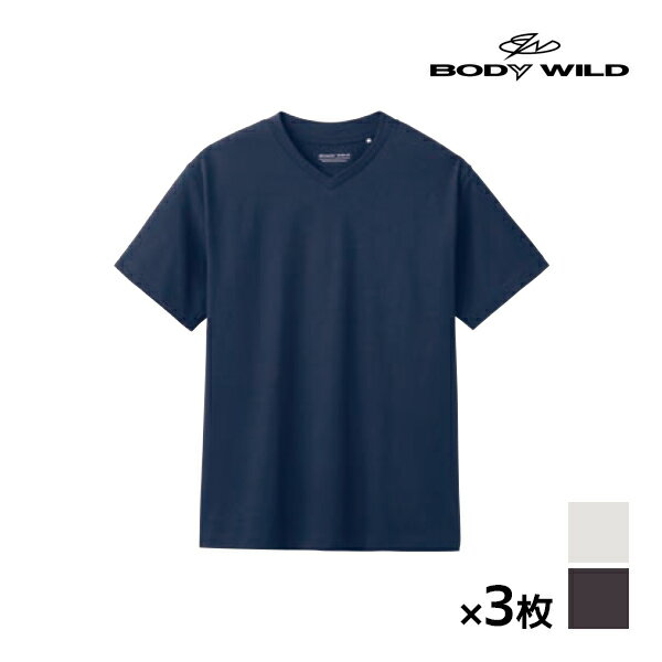 送料無料 同色3枚セット BODYWILD ボディワイルド ジェンダーニュートラル ジャケット対応 VネックTシャツ 半袖V首 グンゼ GUNZE | シャツ Tシャツ 半袖 v首 vネック ブランド インナー 綿100% 半袖シャツ ジャケット ユニセックス 男女兼用 ビジネス 仕事 襟高 カジュアル