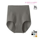 【15日限定エントリーで最大100%ポイントバック】送料無料 同色3枚セット KIREILABO キレイラボ Fitte フィッテ 3Lサイズ レギュラーショー...
