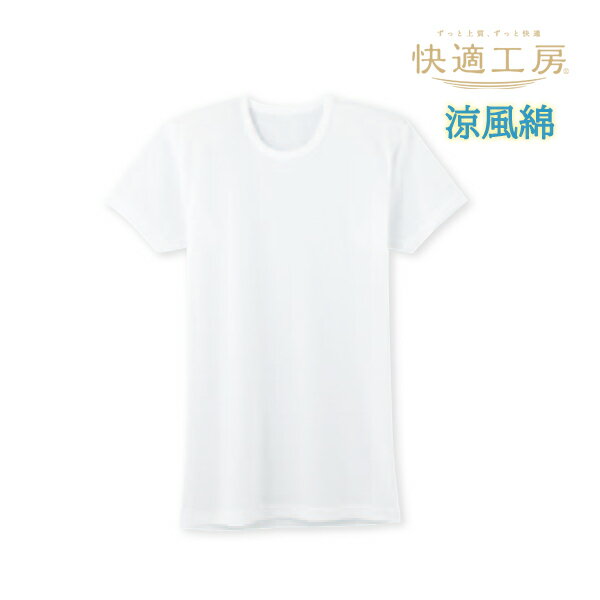 【クーポン10%OFF】快適工房 涼風綿 半袖丸首 Tシャツ 綿100% 日本製 グンゼ GUNZE