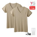 【クーポン10%OFF】送料無料 同色3組セット 計6枚 YG ワイジー DRY&DEO VネックTシャツ 半袖V首 2枚組 グンゼ GUNZE | メンズ 男...