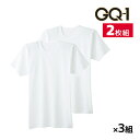【クーポン10%OFF】送料無料 同色3組セット 計6枚 GQ-1 消臭フライス 半袖丸首 インナー Tシャツ 2枚組 グンゼ GUNZE | メンズ 男性 紳...