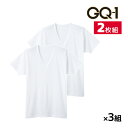 送料無料 同色3組セット 計6枚 GQ-1 冷感フライス 半袖V首 インナー Tシャツ 2枚組 グンゼ GUNZE | メンズ 男性 紳士 vネック v首 半袖...