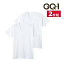 GQ-1 冷感フライス 半袖V首 インナー Tシャツ 2枚組 グンゼ GUNZE | メンズ 男性 紳士 vネック v首 半袖 肌着 下着 インナーシャツ 紳士...