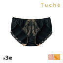 【15日限定エントリーで最大100%ポイントバック】送料無料 同色3枚セット Tuche トゥシェ 透明感ブラ ハーフショーツ ペアショーツ グンゼ GUNZE...