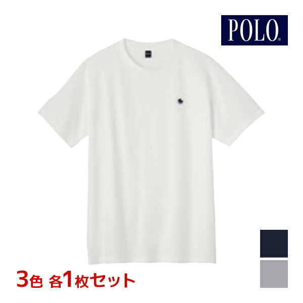 3F1 3Zbg POLO | N[lbNTVc ێ Ci[ TVc O[ GUNZE | Y j    ێ N[lbN Vc Vc uh  YVc 100 eB[Vc jp tVc Rbg am