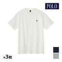【5日限定エントリーで最大100%ポイントバック】送料無料 同色3枚セット POLO ポロ クルーネックTシャツ 半袖丸首 インナー Tシャツ グンゼ GUNZ...