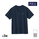 【クーポン10%OFF】送料無料 同色3枚セット POLO ポロ VネックTシャツ 半袖V首 インナー Tシャツ グンゼ GUNZE | メンズ 男性 紳士 肌...