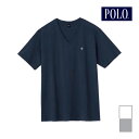【クーポン10%OFF】POLO ポロ VネックTシャツ 半袖V首 インナー Tシャツ グンゼ GUNZE | メンズ 男性 紳士 肌着 下着 半袖 v首 vネ...