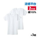 【クーポン10%OFF】送料無料 同色3組セット 計6枚 涼感平台 冷感鹿の子 半袖丸首 Tシャツ インナー 2枚組 日本製 グンゼ GUNZE | メンズ 男...