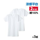 送料無料 同色3組セット 計6枚 涼感平台 冷感鹿の子 半袖丸首 Tシャツ インナー 2枚組 日本製 グンゼ GUNZE メンズ 男性 紳士 クルーネック 丸首 涼感 涼しい 肌着 下着 インナーシャツ シャツ 夏 メンズインナー 綿 暑さ対策 ひんやり ビジネス 夏用インナー 冷感 半袖